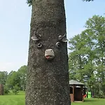 Am Storchennest Schmogrow