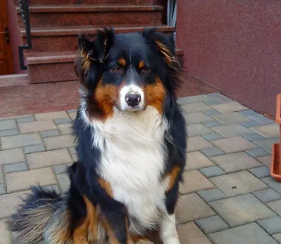 Apartamento Am Storchennest *