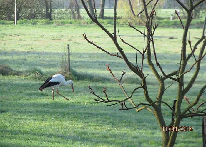 Apartamento Am Storchennest Schmogrow