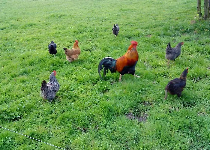 Am Storchennest Schmogrow