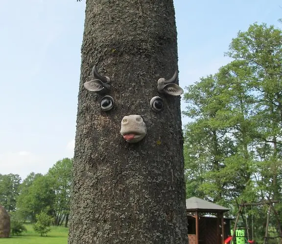 Am Storchennest Schmogrow